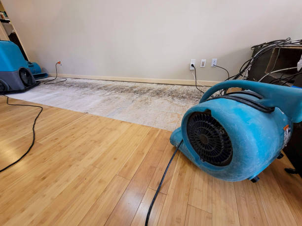 Professional Burst Pipe Water Damage technician working in Wittenberg, WI